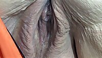 Anal Creampie Videos